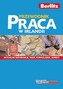 Berlitz. Przewodnik. Praca w Irlandii
