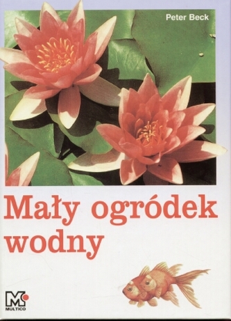Mały ogródek wodny