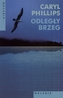 Odległy brzeg