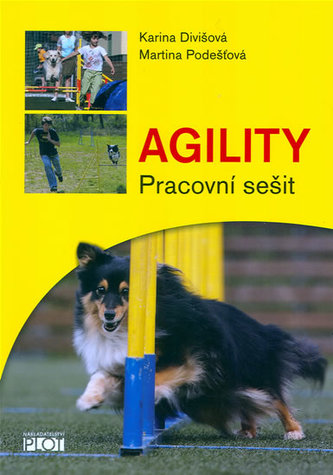 Agility - Pracovní sešit