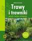Trawy i trawniki. Gatunki, uprawa, pielęgnacja