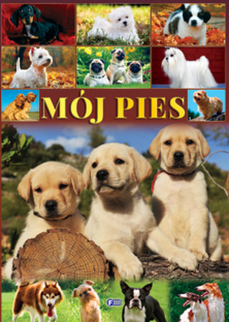 Mój pies