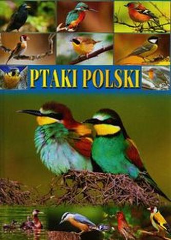 Ptaki Polski