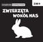 Książeczki kontrastowe. Zwierzęta wokół nas