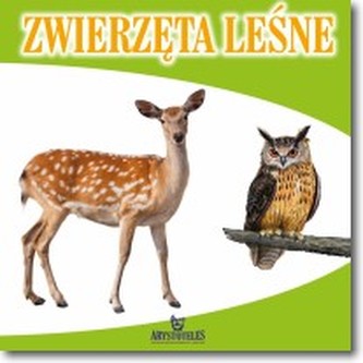 Zwierzęta leśne