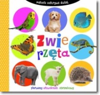 Maluch odkrywa świat. Zwierzęta