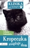 Kropeczka znajduje dom. Klinika pod Boliłapką