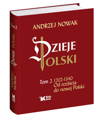 Dzieje Polski. Tom 2. Od rozbicia do nowej Polski