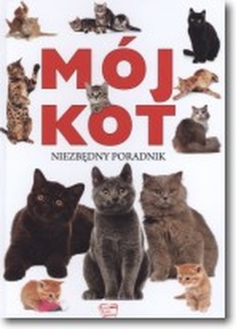 Mój kot