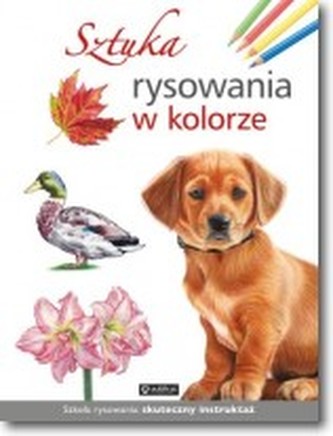 Sztuka rysowania w kolorze