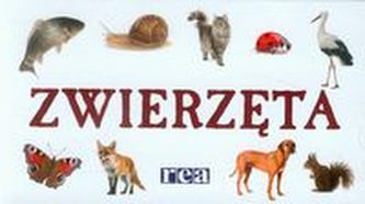 Zwierzęta rozkładanka