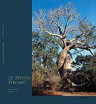 Ze života stromů