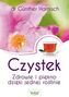 Czystek