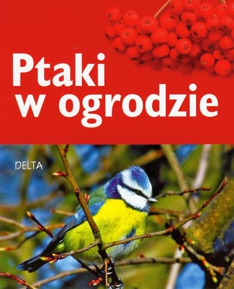 Ptaki w ogrodzie