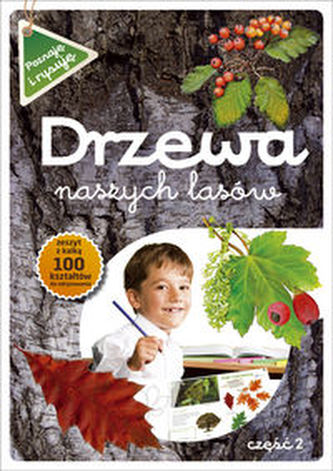 Drzewa naszych lasów część 2 Poznaję i rysuję
