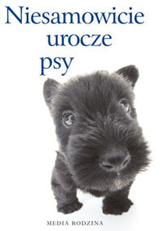 Niesamowicie urocze psy