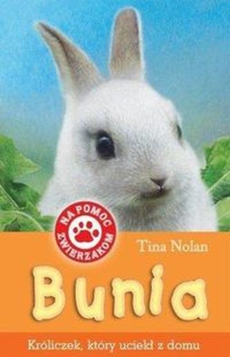 Bunia Króliczek który uciekł z domu
