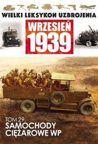 Samochody Ciężarowe WP