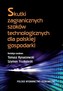 Skutki zagranicznych szoków technologicznych dla polskiej gospodarki