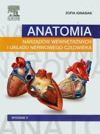 Anatomia narządów wewnętrznych i układu nerwowego człowieka