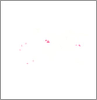 Výjimečné domy/ Exceptional Houses