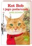 Kot Bob i jego podarunek