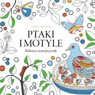 Ptaki i motyle. Kolorowy świat przyrody