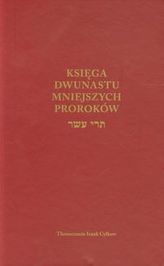 Księga Dwunastu mniejszych proroków