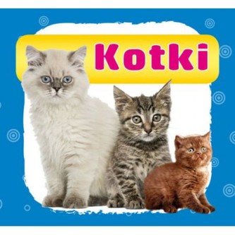 KOTKI HARMONIJKA LITERAT  9788378987895
