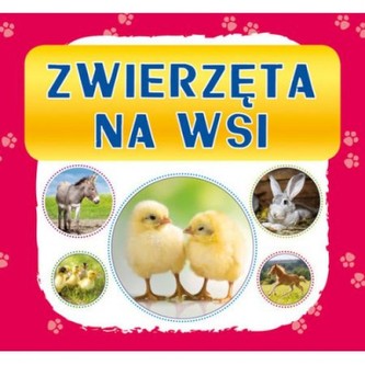 ZWIERZĘTA NA WSKI HARMONIJKA LITERAT