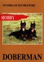 Doberman