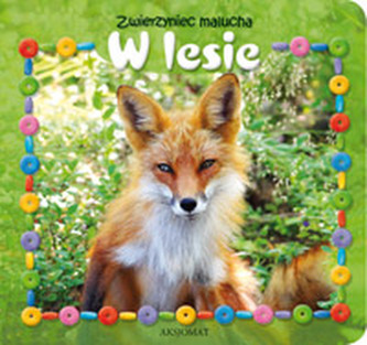 Zwierzyniec malucha. W lesie
