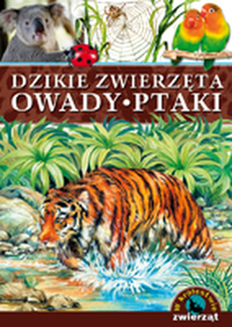 W królestwie zwierząt. Dzikie zwierzęta, owady, ptaki.