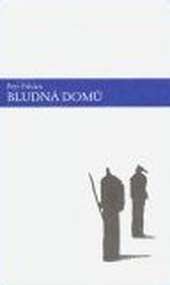 Bludná domů