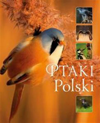 Ptaki Polski