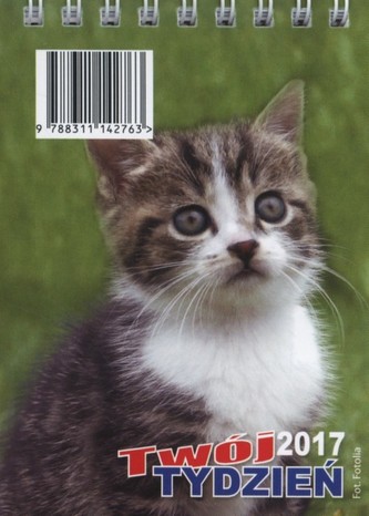 Kalendarz 2017  Biurkowy Twój tydzień B7