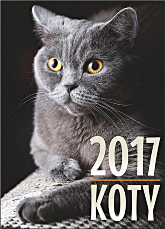 Kalendarz 2017  Koty  SM3