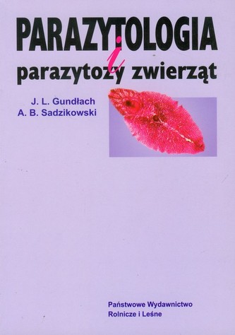 Polubić pszczoły