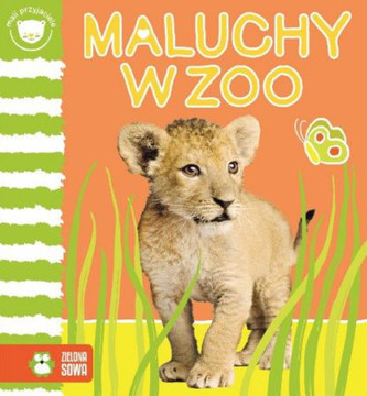 Maluchy w zoo