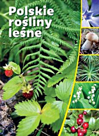 Polskie rośliny leśne