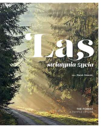 Las świątynia życia