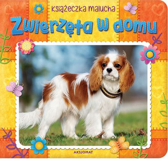 Zwierzęta w domu. Książeczka malucha