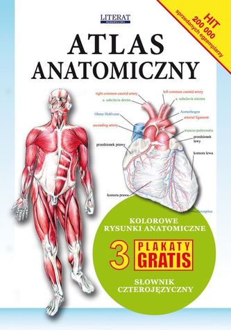 Atlas anatomiczny + 3 plakaty gratis
