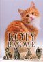 KOTY RASOWE