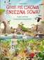 GDZIE SIĘ CHOWA ŚNIEŻNA SOWA ZNAJDUJ ZWIERZĘTA NA WSZYSTKICH KONTYNENTACH