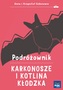 KARKONOSZE I KOTLINA KŁODZKA PODRÓŻOWNIK
