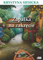 ZAPAŁKA NA ZAKRĘCIE