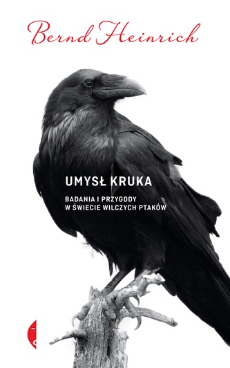 UMYSŁ KRUKA BADANIA I PRZYGODY W ŚWIECIE WILCZYCH PTAKÓW