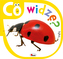 Co widzę? Łąka