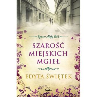 Szarość miejskich mgieł